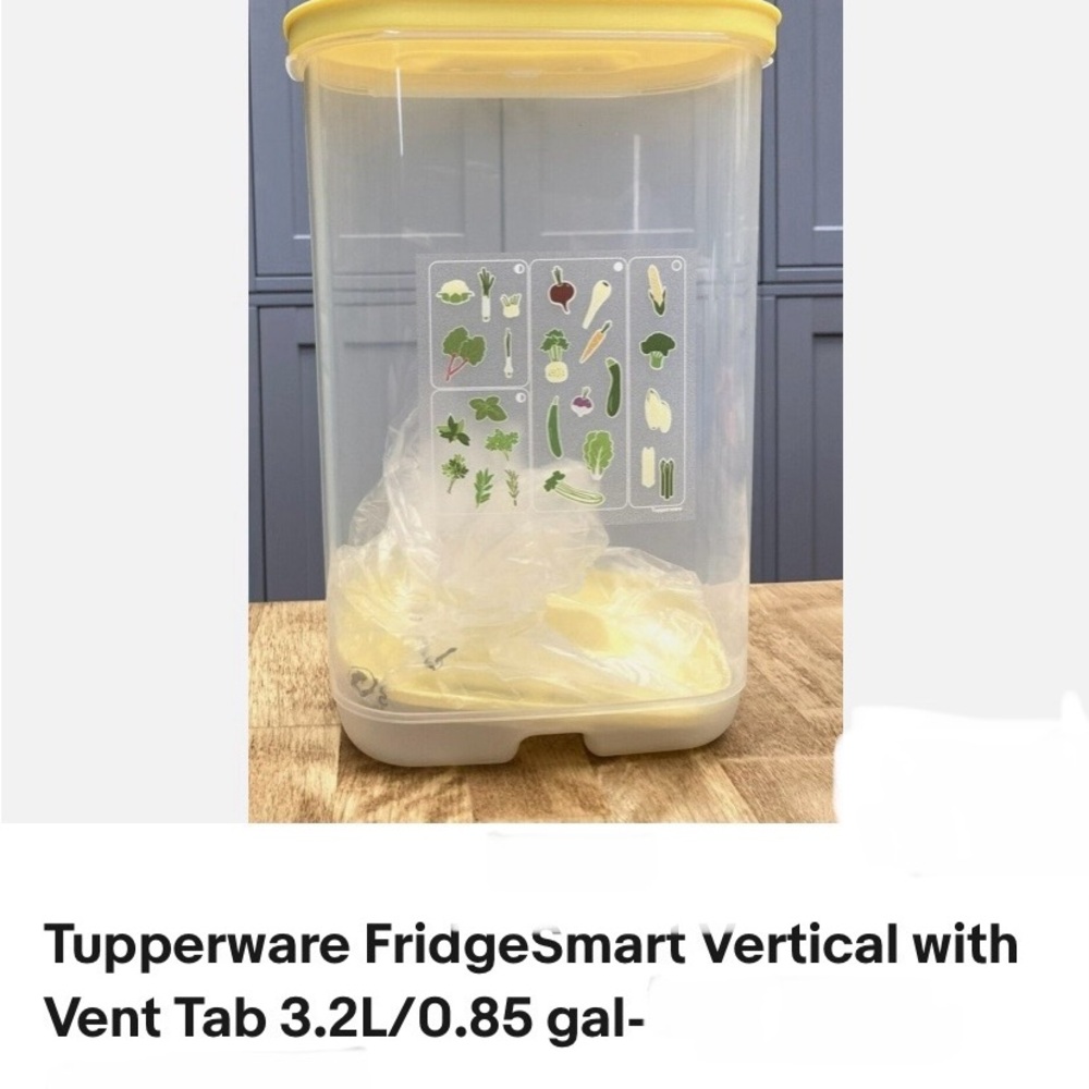 Tupperware FridgeSmart Vertical 3.2L